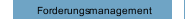 Forderungsmanagement